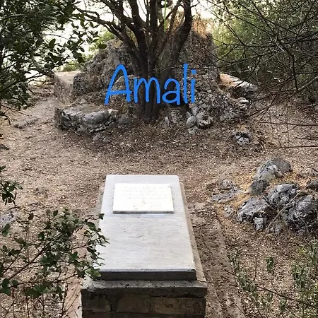 Amali